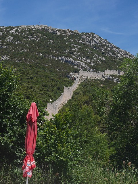 c0039428_22472711.jpg