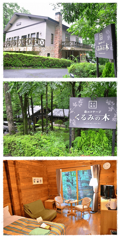 d0179828_19244735.png