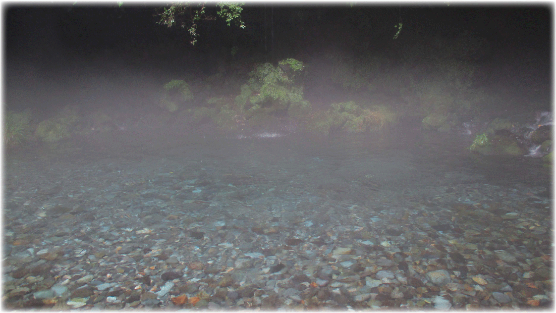 c0107829_10562735.gif