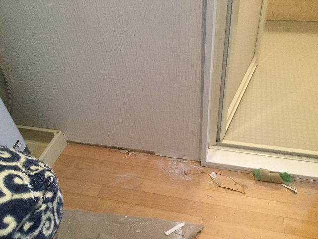17.5日目 ほぼ終了_f0031037_18493817.jpg