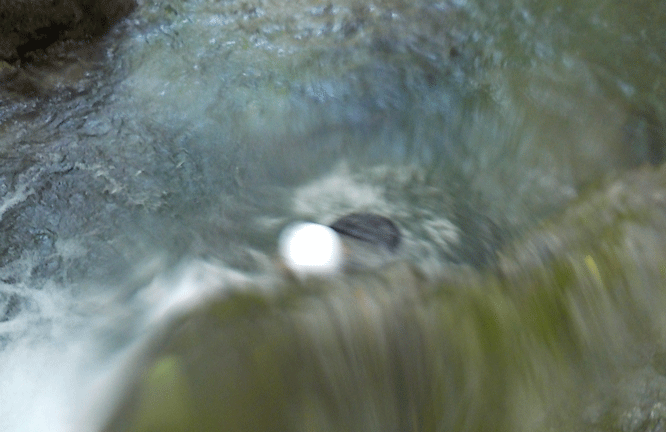 e0371039_17344357.gif