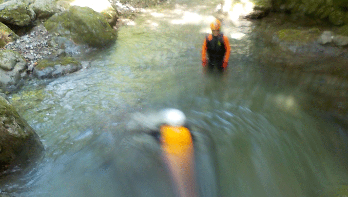e0371039_17345839.gif