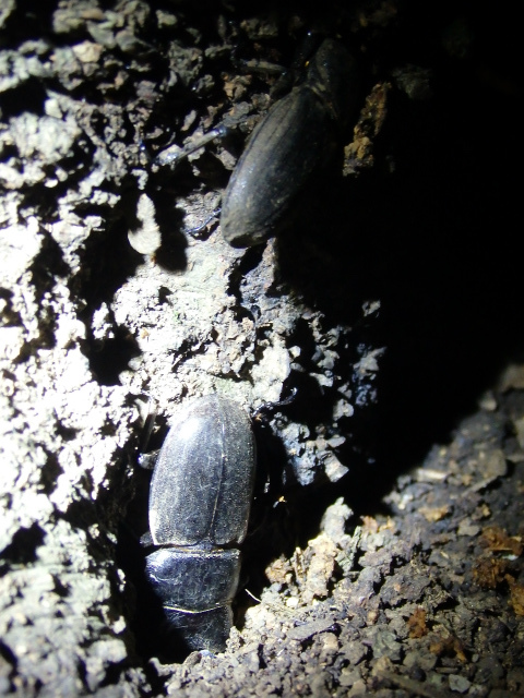 f0104042_2127133.jpg