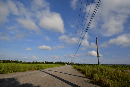 c0093046_19133870.gif