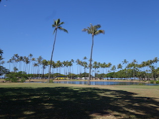 e0138350_10072066.jpg