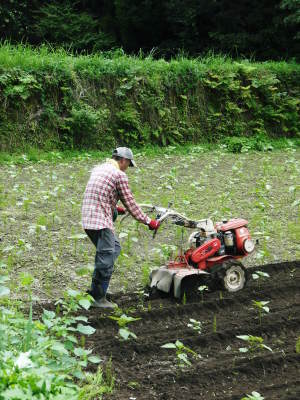 熊本県菊池市、菊池水源の山奥で、自ら田舎暮らしをしながら最旬食材を全国のお客様にお届けします!! _a0254656_18144587.jpg