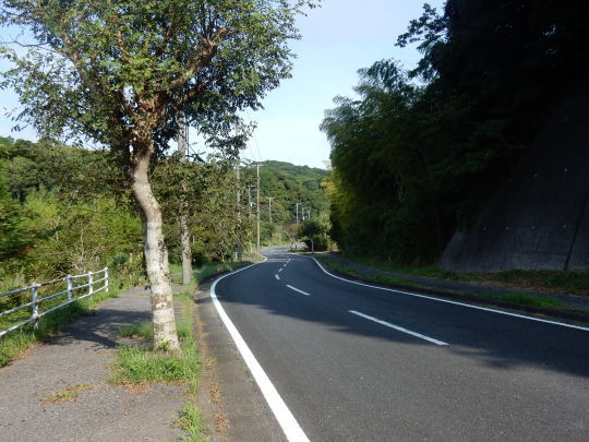 ’17,8,21(月)田舎道は?マークがいっぱい!_f0060461_10370474.jpg