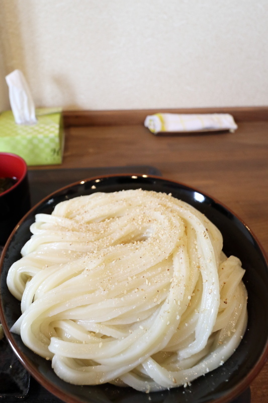 よがなうどん_a0077663_18390065.jpg