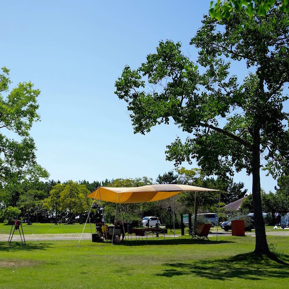 f0134963_22101077.jpg