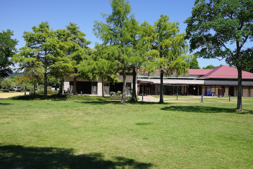 f0134963_22144943.jpg