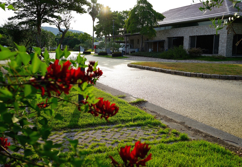 f0134963_22320823.jpg