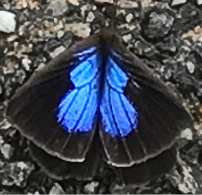 d0357065_10075217.jpg