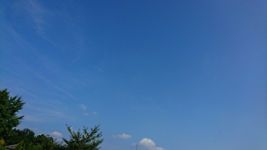 d0362666_15520552.jpg