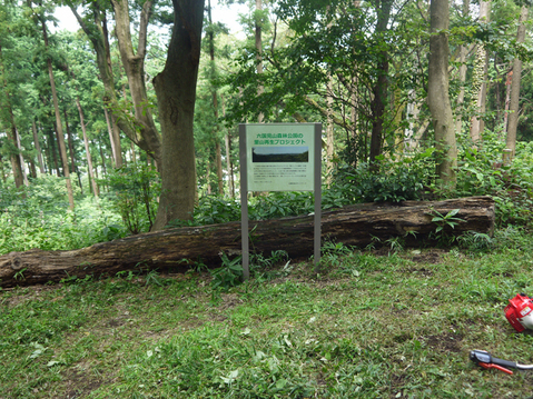 県所有竹林まずはアズマネザサ刈りから8・19六国見山定例_c0014967_7521841.jpg