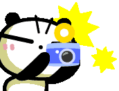 e0345868_22071539.gif