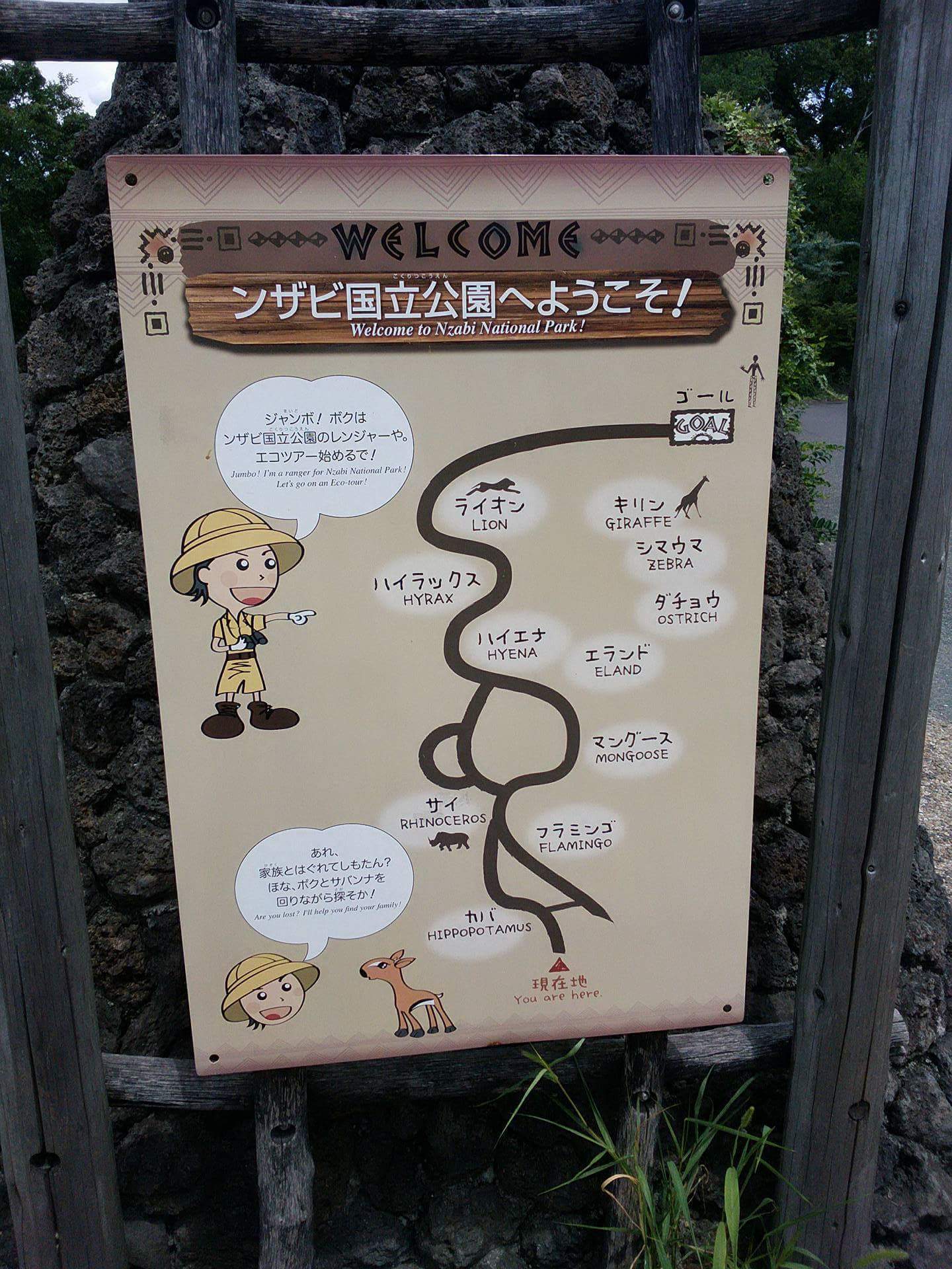 天王寺動物園　まとめ★_a0373769_21430290.jpeg