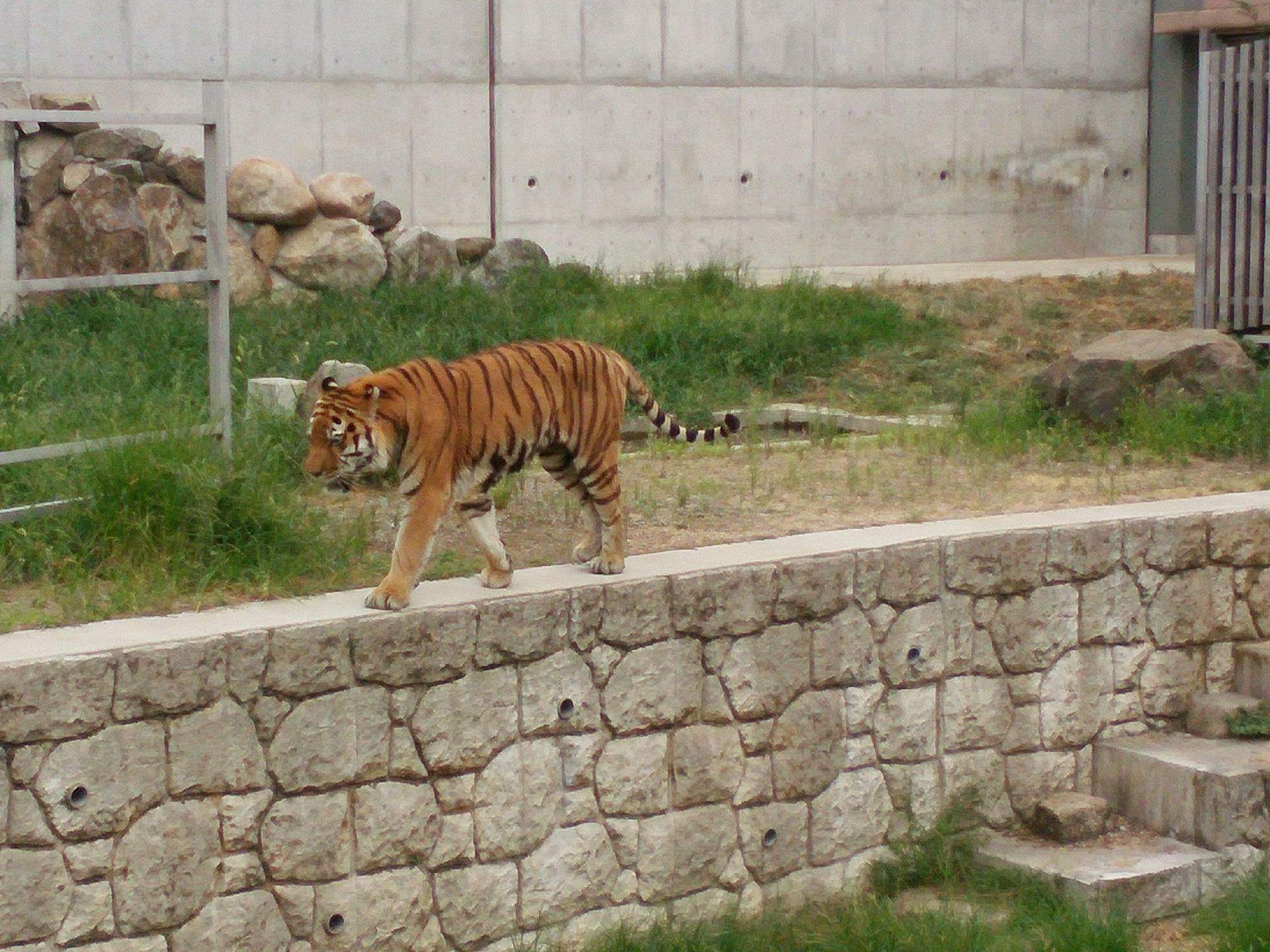 天王寺動物園　まとめ★_a0373769_21524314.jpeg