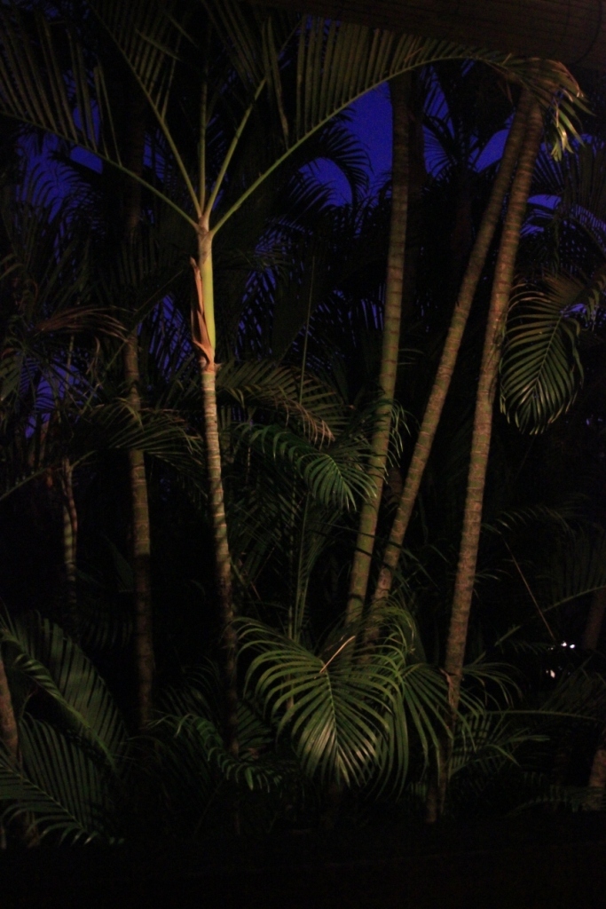e0141982_02063261.jpg
