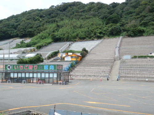 b0334084_21380250.jpg