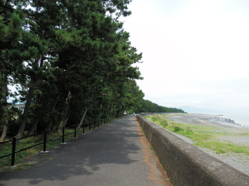 b0334084_21381789.jpg