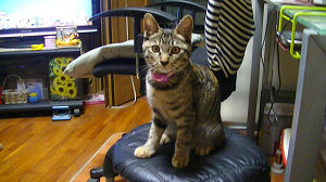 c0049489_21492929.jpg