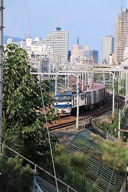 藤田八束の鉄道写真＠山陽本線、東海道本線を走る貨物列車・・・貨物列車写真集_d0181492_22390944.jpg