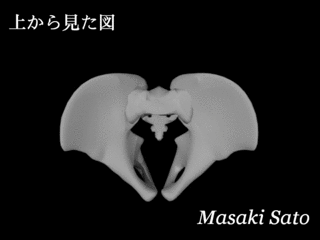 f0074992_00185548.gif
