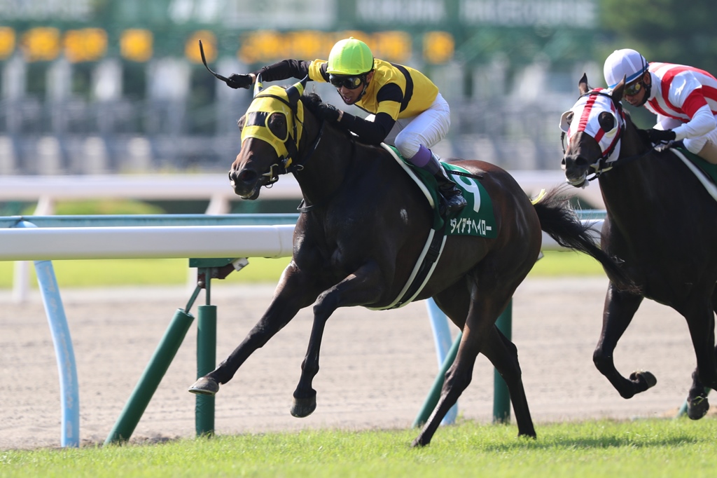 2017年8月20日　北九州記念（ＧⅢ）＆メイショウカイドウ誘導馬引退式_f0204898_1105358.jpg