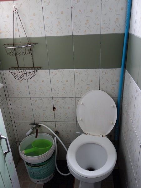 d0360509_17538.jpg