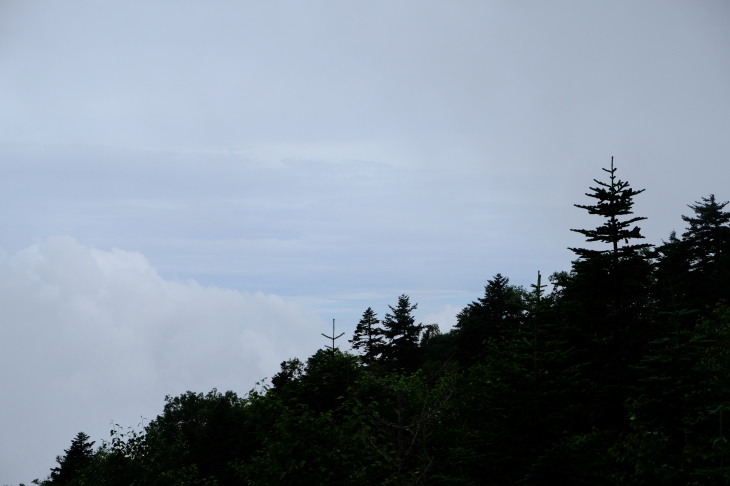 2017 夏休み一人登山 南アルプス南部 その１_e0000910_12321562.jpg