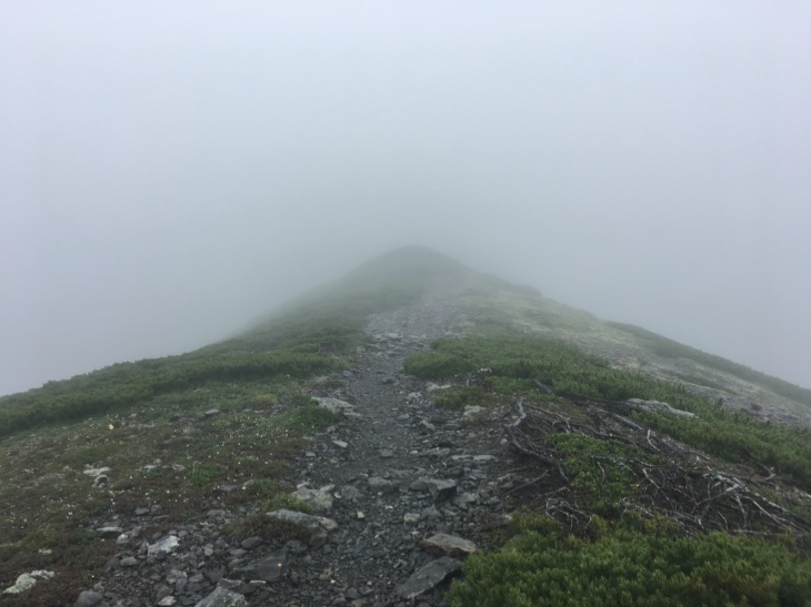 2017 夏休み一人登山 南アルプス南部 その１_e0000910_13292567.jpg