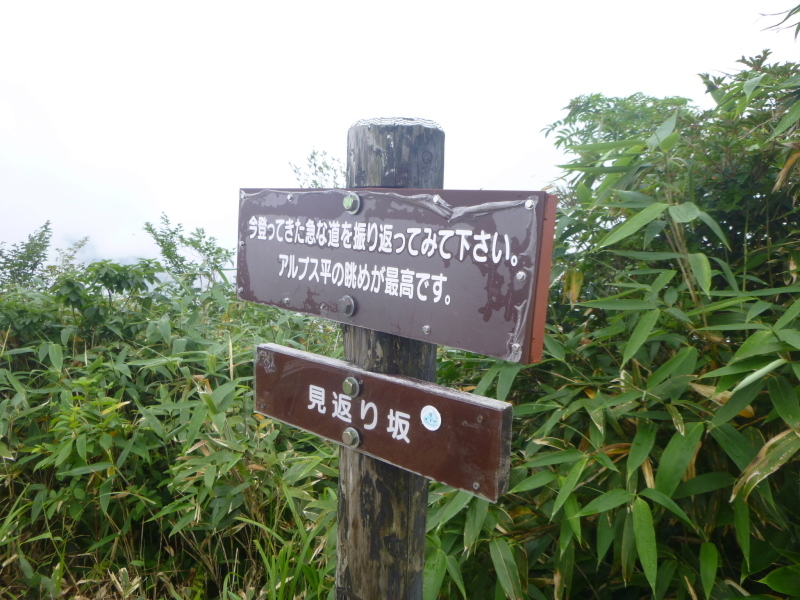 d0170615_07012927.jpg