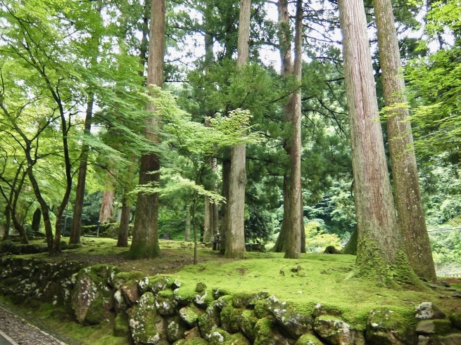 d0352022_23014797.jpg