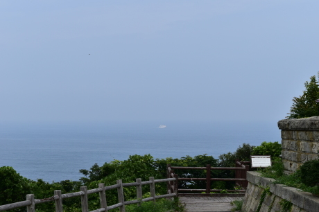 f0362524_20140104.jpg