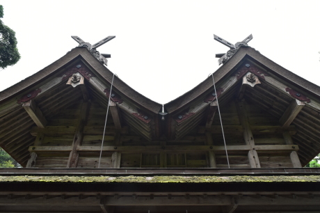 f0362524_20243527.jpg
