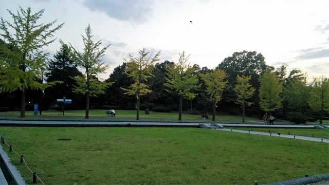 昭和記念公園　「コスモスまつり2016」_e0349525_20151190.jpg