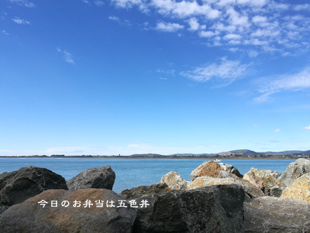 d0042827_20030015.jpg