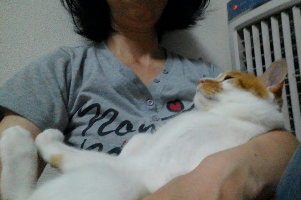 たろちゃの近況報告☆_d0355333_11292413.jpg