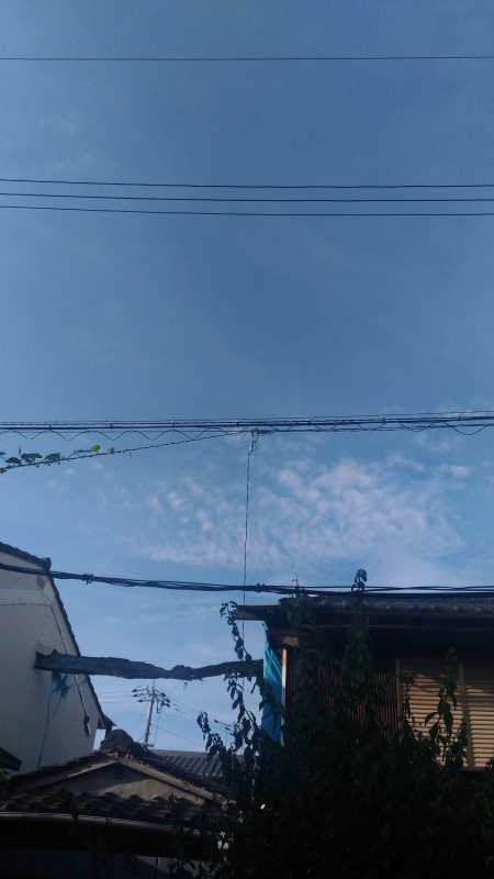 d0343540_13565514.jpg