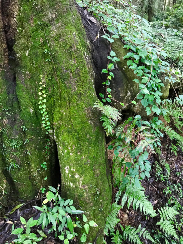 b0367250_10485008.jpg