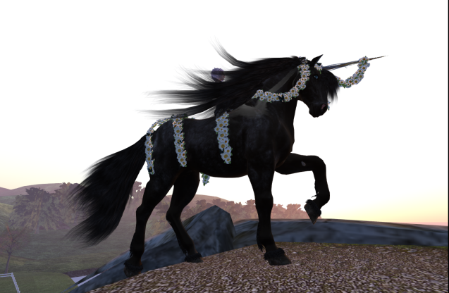 a0370952_19251798.png