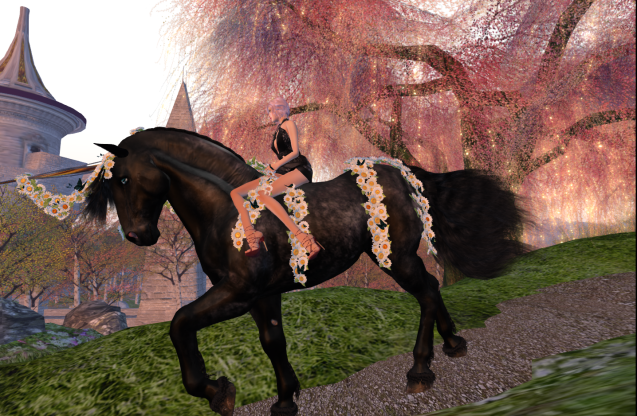 Horse Riding Park_a0370952_19260466.png