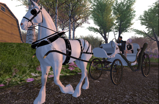 Horse Riding Park_a0370952_19265172.png