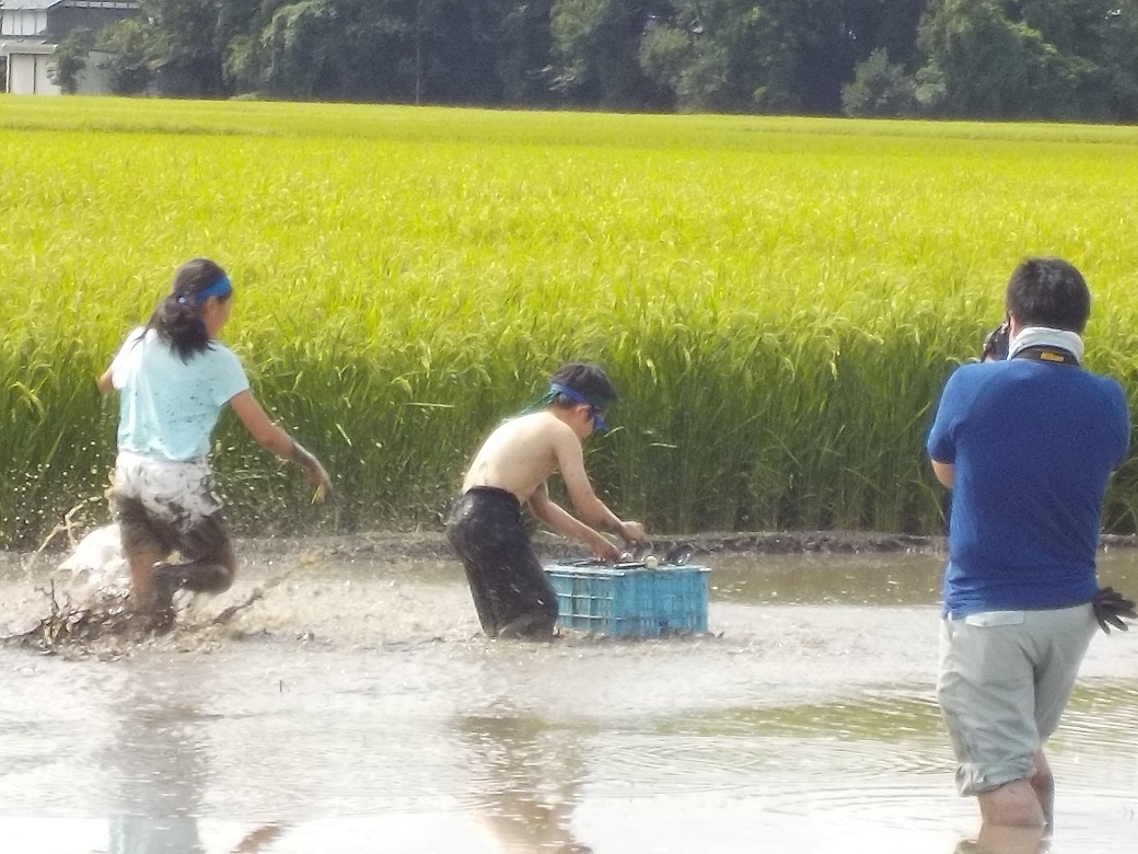 8月21日(月) 海のものいっぱいのお弁当_d0161055_16442722.jpg