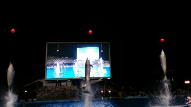 名古屋港水族館は名古屋の誇りです!!!_a0272765_17060371.jpg