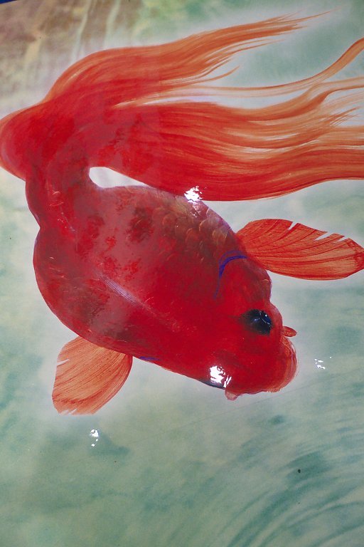 金魚絵画展 深作隆介インザスカイ（8月21日） : 軌跡