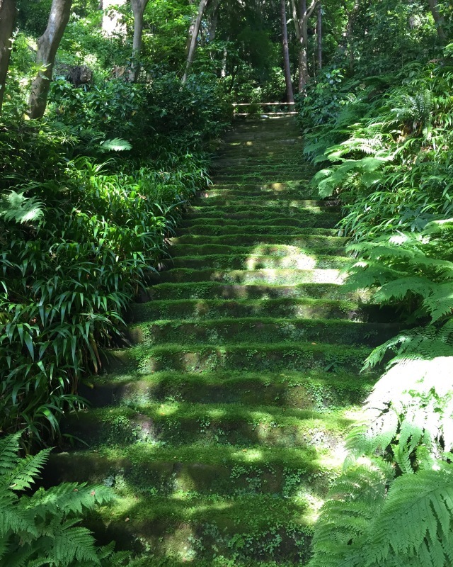鎌倉の苔寺で御朱印帳作り Miwa Handmade Blog