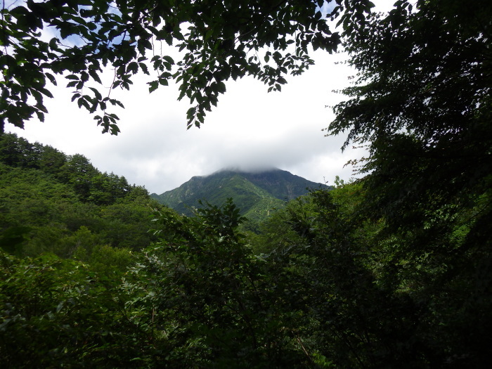 夏を求めて祝瓶山へ ～ ２０１７年８月２０日_f0170180_00095702.jpg