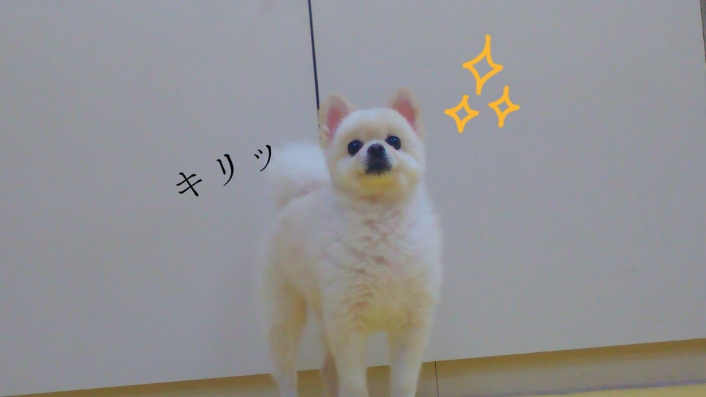 仲良しさん✌😃😊👌_f0357682_23060696.jpg