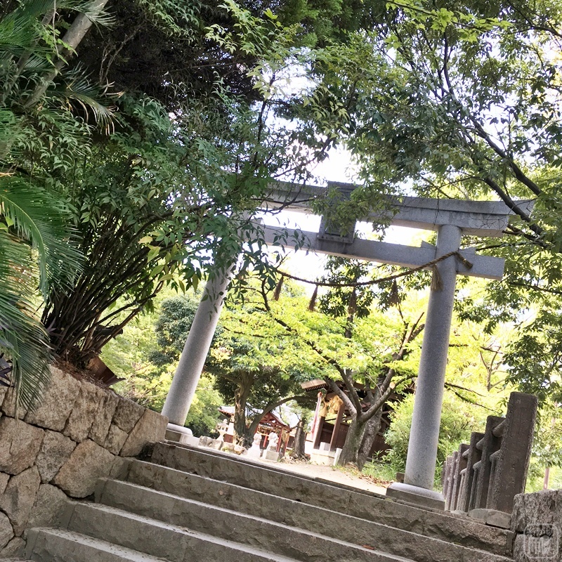 佐和良義神社。_c0212783_06073381.jpg